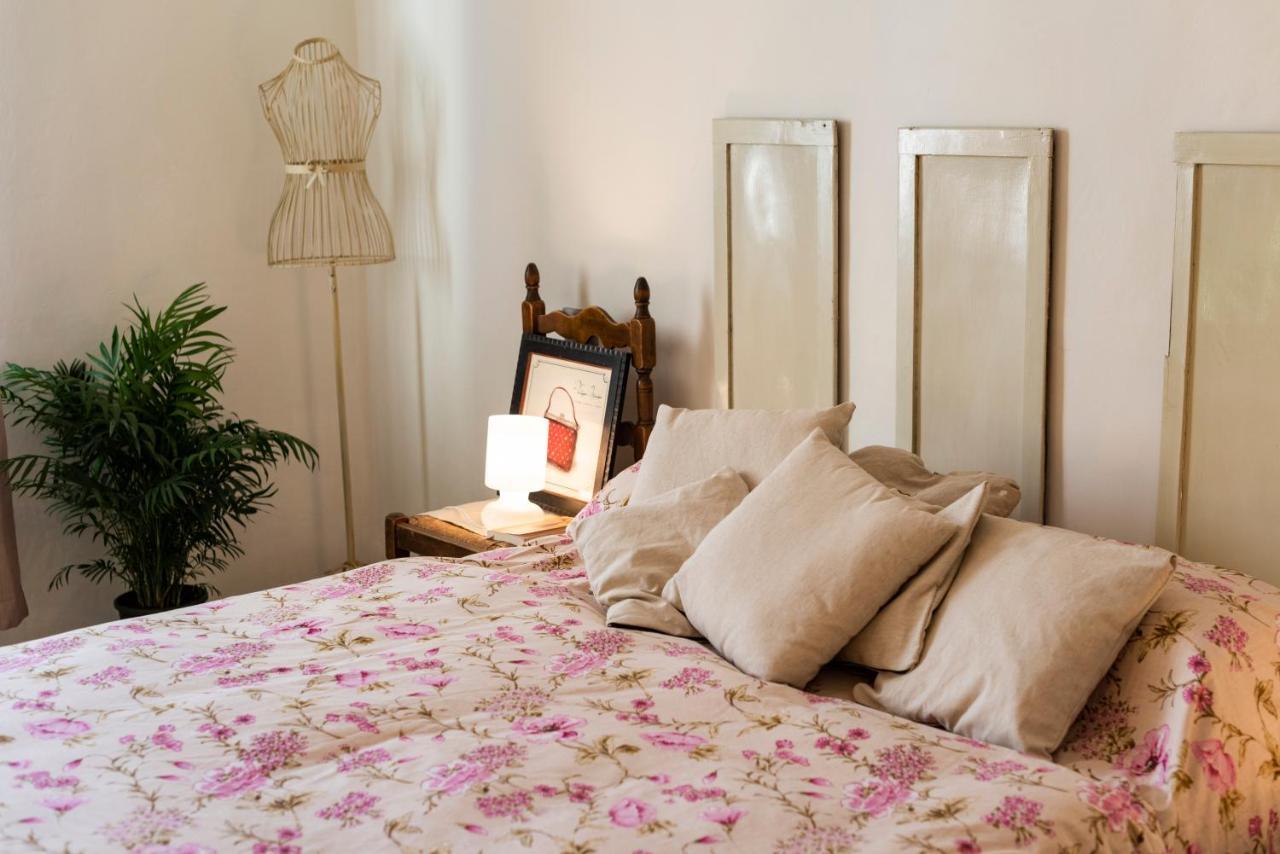 Il Lucernario Apartment Pisa Bagian luar foto